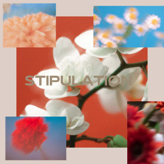 Stipulation (FREE DOWNLOAD)