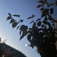 The Incoming Age of Melancholy — Eternal Dusk Between Eras / The Last Custodians of the Old Music