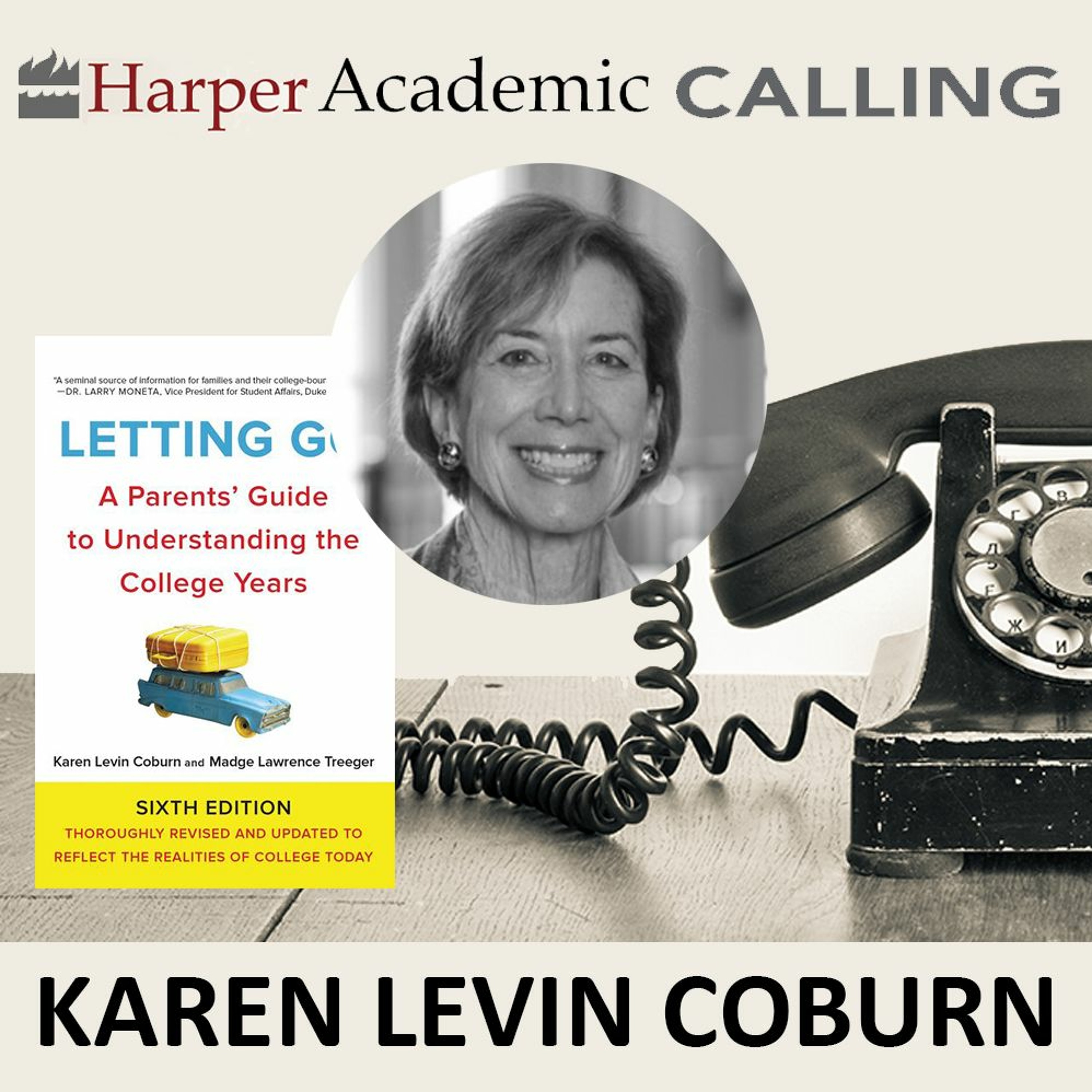 cover of episode Karen Levin Coburn