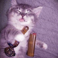 im gone prod diewxll