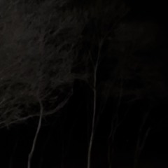 Abyss Way (short)