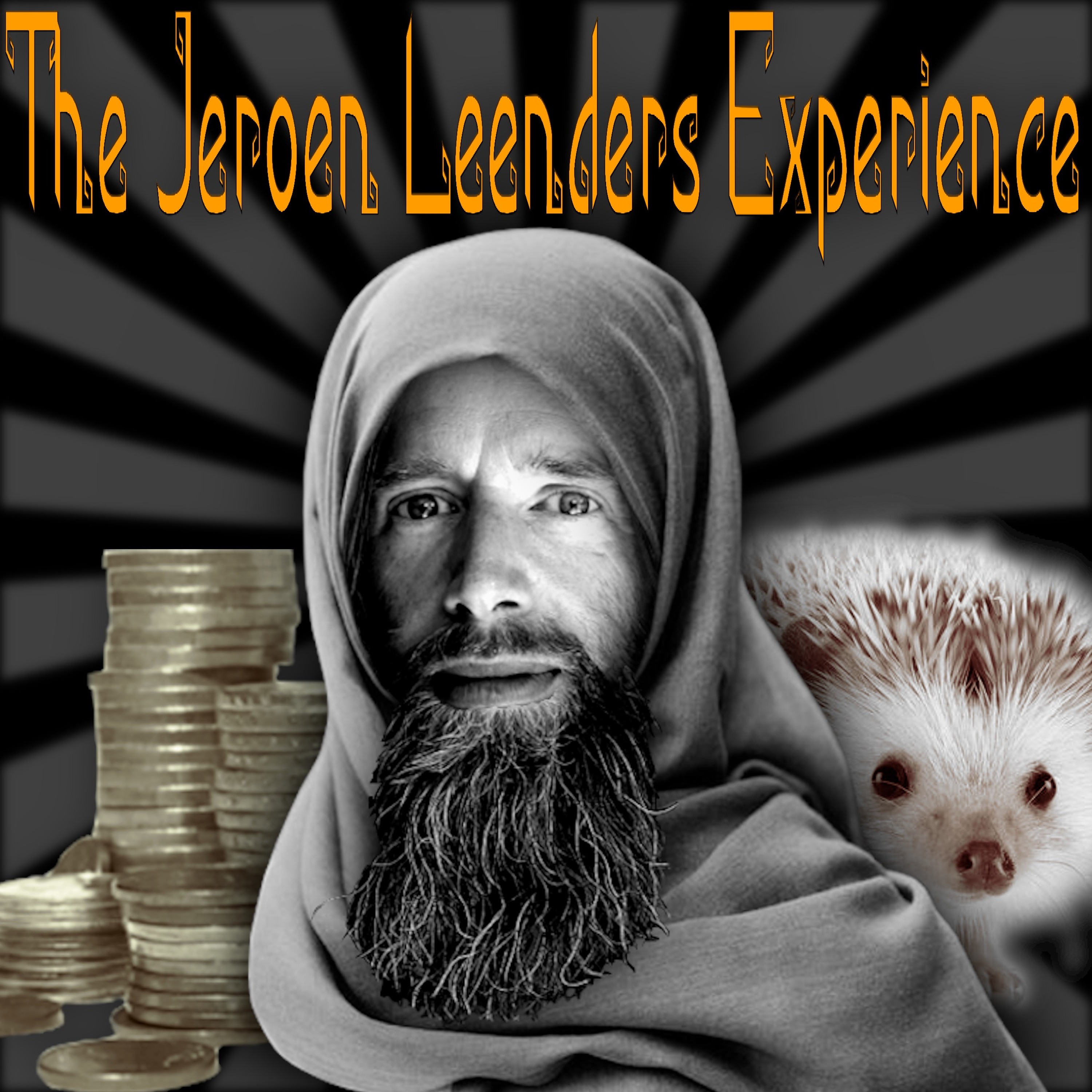 Jeroen Leenders Experience