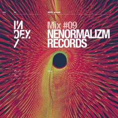 INDEx Mix #9 - Nenormalizm Recs. Showcase (mixed by Illocanblo)