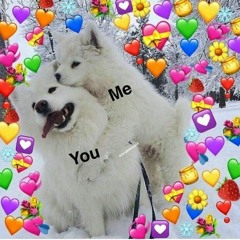 Shory <3(◍•ᴗ•◍)❤