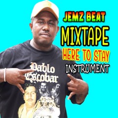 HERE TO STAY (MIX TAPE)