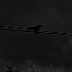 PissOnYourMemoriall prod.junoes