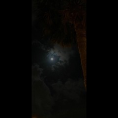 طالع عيون الخبر ..