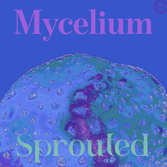 Mycelium