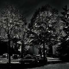 NIC - Pete Yorn (TOMASIC RMX)