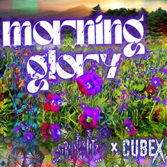 morning glory w/ CubeX