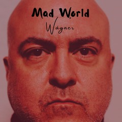 Wágner - Mad World (A Tears For Fears Cover)