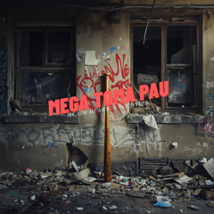 MEGA TOMA PAU