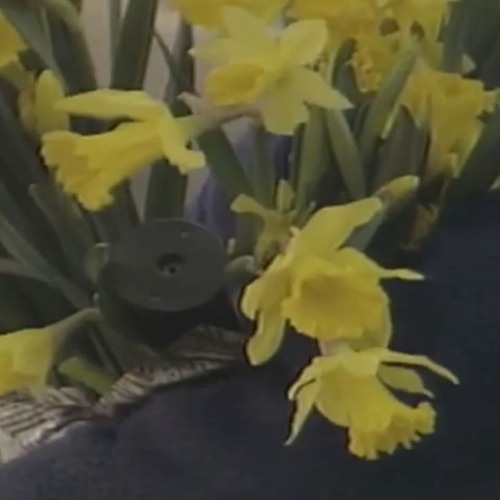 dean blunt & Elias Rønnenfelt lucre n_t0115518.png