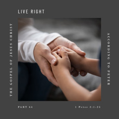 Voice Note for 20250206 - TheGospelofJesusChrist-Part64-1Peter2-LiveRight