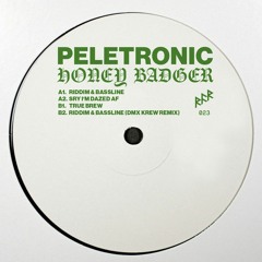 PREMIERE: Peletronic - Riddim & Bassline [RFR Records]