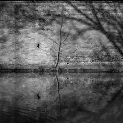 Periods of solitude