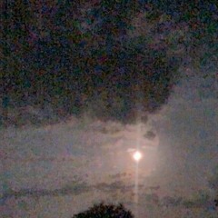 𝐏𝐇𝐀𝐒𝐄 𝐈