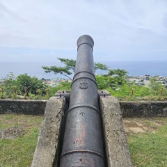 Hollaback for Shots Girl