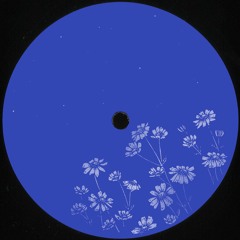 PREMIERE: P.Luj - Sequences [Urban Garden Limited]