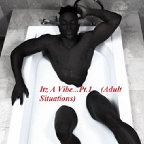 It'z a Vibe...Vol.1 (Adult Situations)