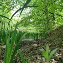 Vanupié - Good Morning - ReggaeRiddimBox