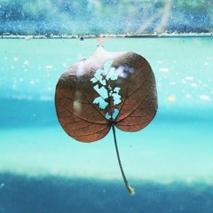 Sunken Mind