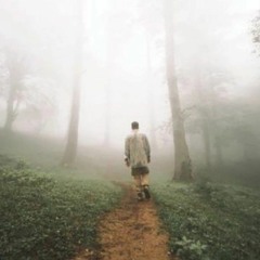 Erfan Tahmasebi / مترسک