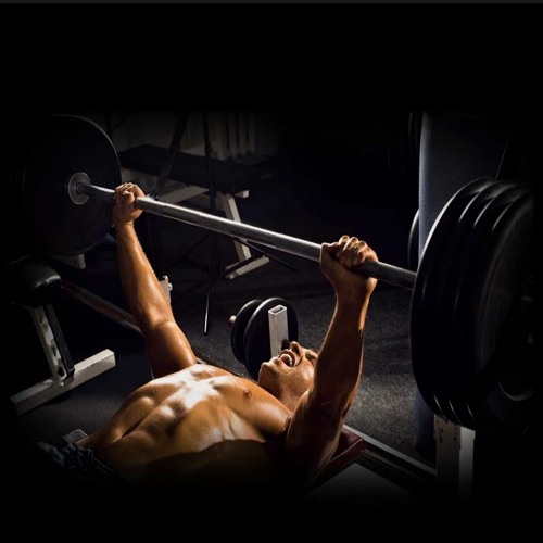- BENCH PRESS - Binaural Performance Support (Improved Strength, Muscle Fibers Activation, Mindset)