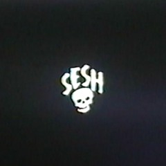 TEAMSESH