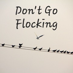 Christiano THUg - Don't Go Flocking