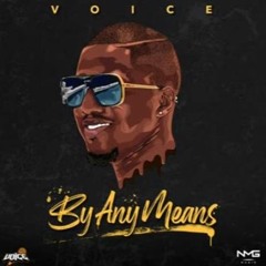 Voice - By Any Means