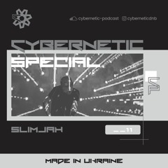 Cybernetic Special __11 by Slimjah