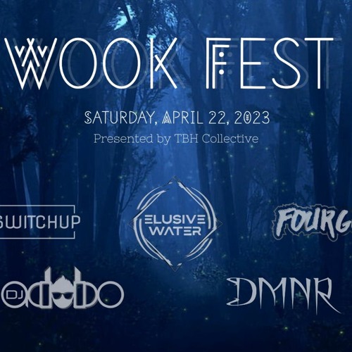 DMNR - WOOK FEST SET