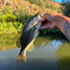 I've Been Missing You