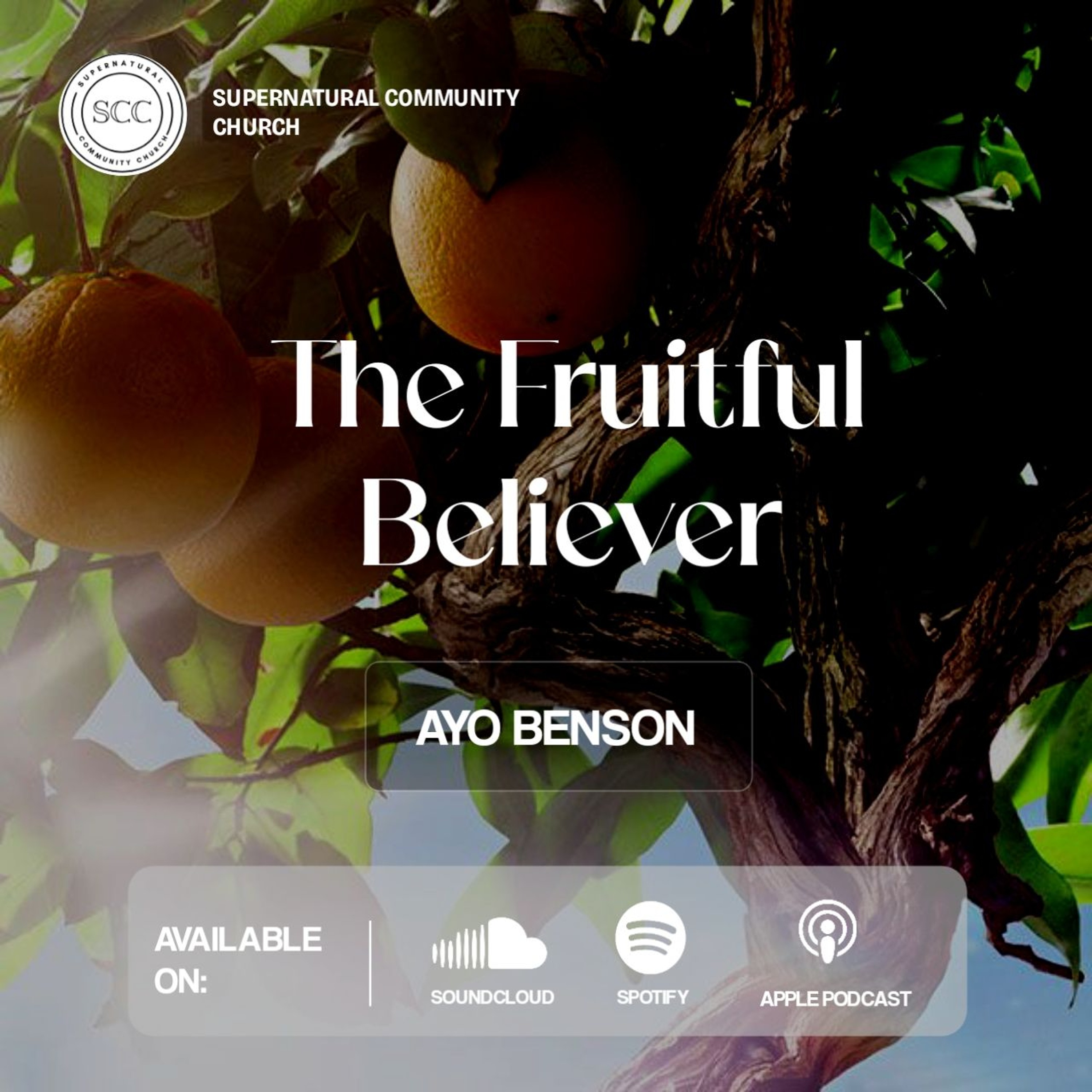 The Fruitful Believer