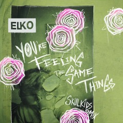 Elko - You're Feeling The Same Things (SkulKids Remix)