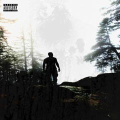 Metal (feat. Waveking) [prod. NIGHT]