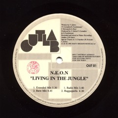 Living in the Jungle (Rave Mix)