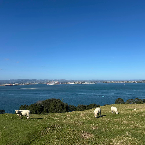 on the roll, meaning is movement.