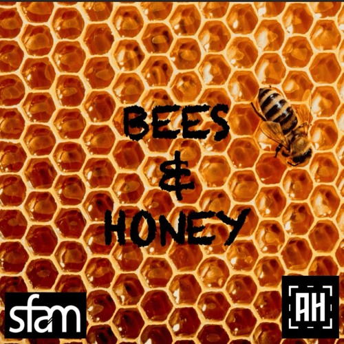 sfam - Bees & Honey {Aspire Higher Tune Tuesday Exclusive}