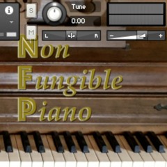 Non Fungible Piano - Sample Library Demo