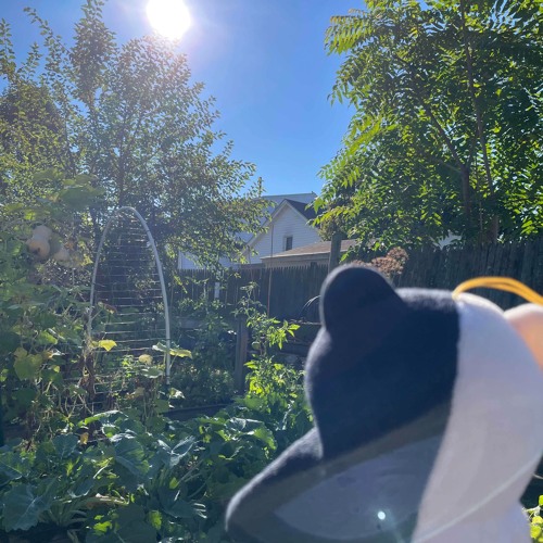 i could be the one you're missing