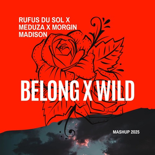 Rufus Du Sol x Meduza x Morgin Madison - Belong x Wild (Ian Buller Mashup)