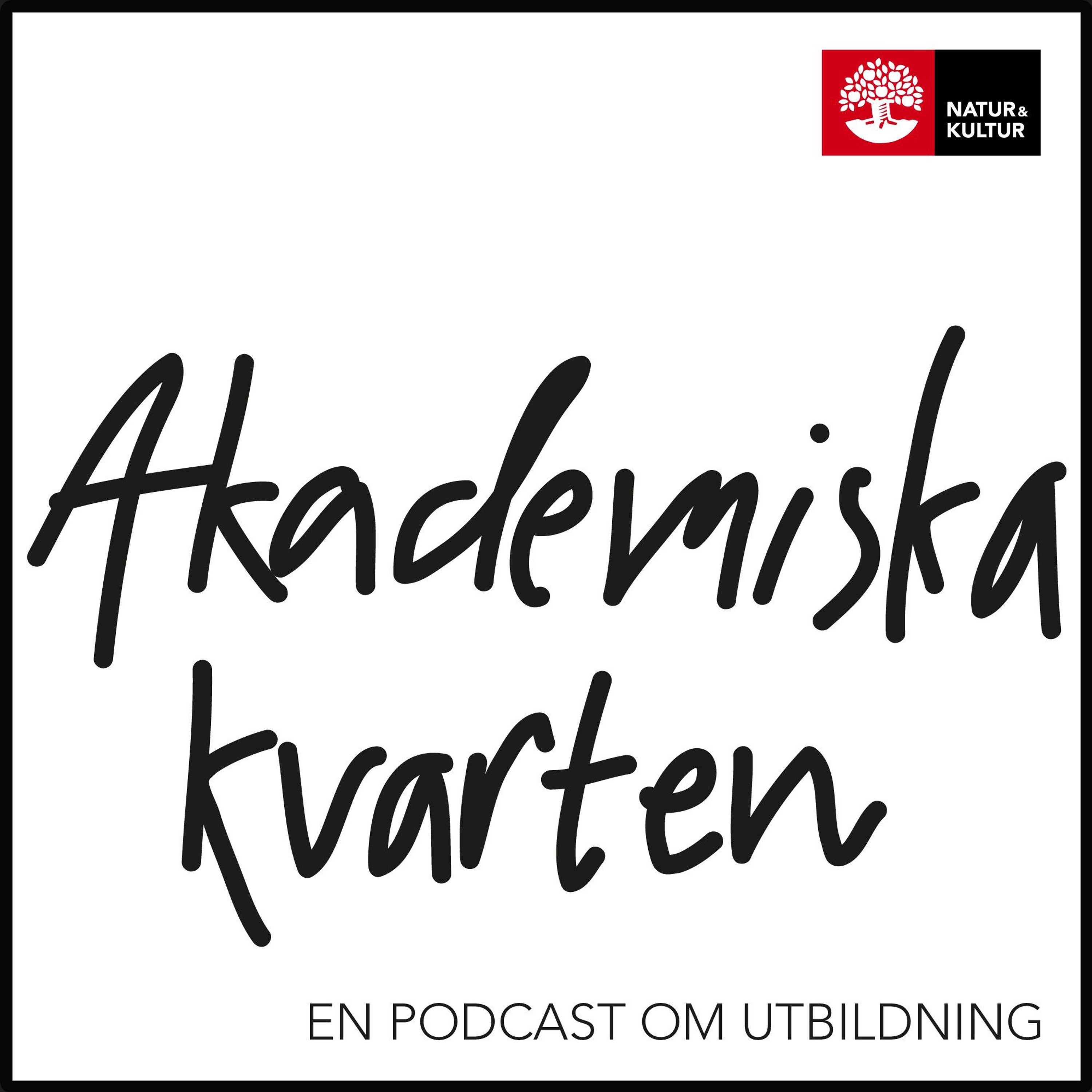 Lena Lind Palicki om vikten av att använda ett inkluderande språk episode artwork