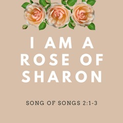 I am a Rose of Sharon (Song Of Songs 2:1-3)