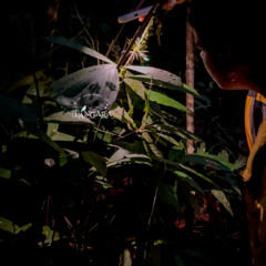 300525 / Play Flora / María Gracia y Nicole / Tierra de Bosques