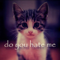 do you hate me =) +сатошивпн