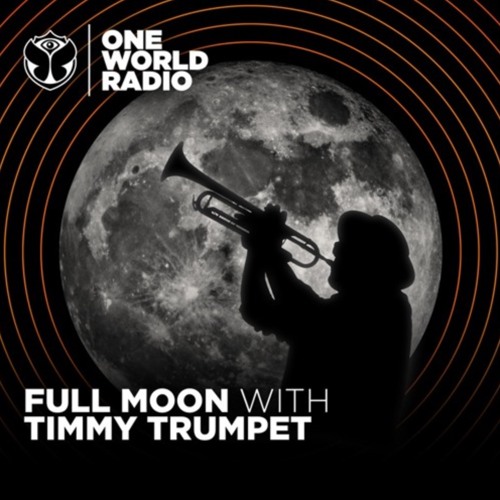Full Moon with Timmy Trumpet #5