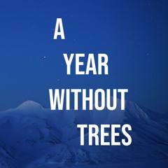 A YEAR WITHOUT TREES