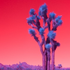 "TOXIC" [prodbyOkayCJ]